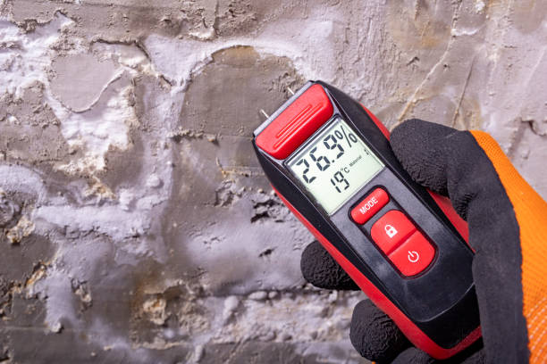 Professional Mold Removal in Cumming, GA
