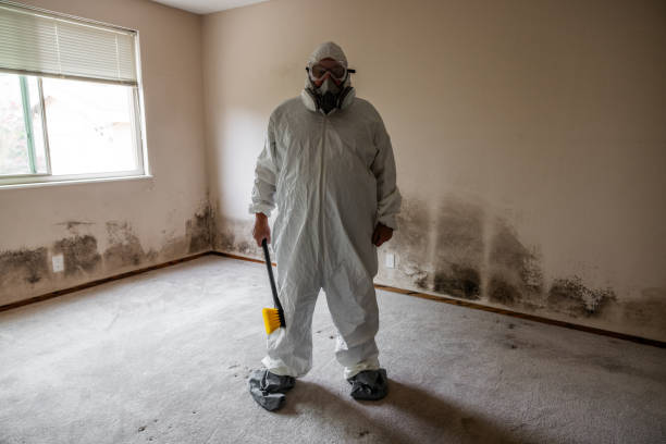 Mold Removal and Inspection in Cumming, GA